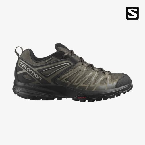 Tenis Senderismo Salomon X Crest GTX Hombre Verde Oliva | MX CYFT937